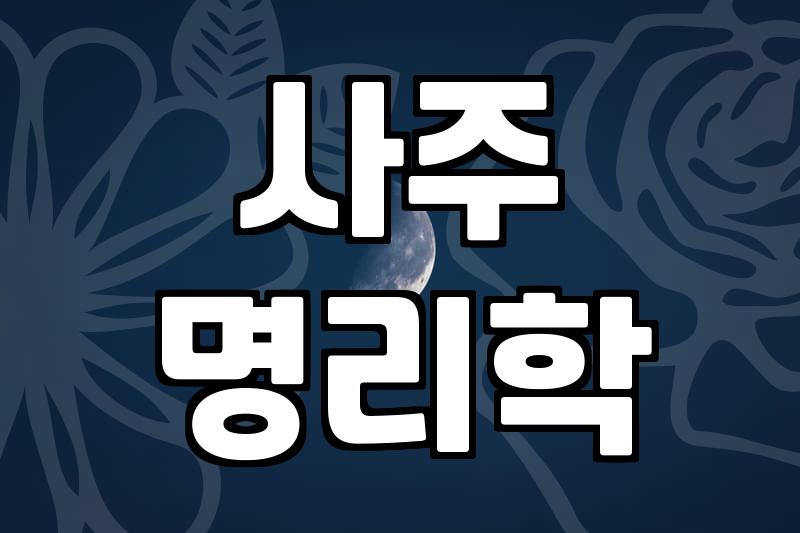 DOSA, 이것 하나로 충분할까?