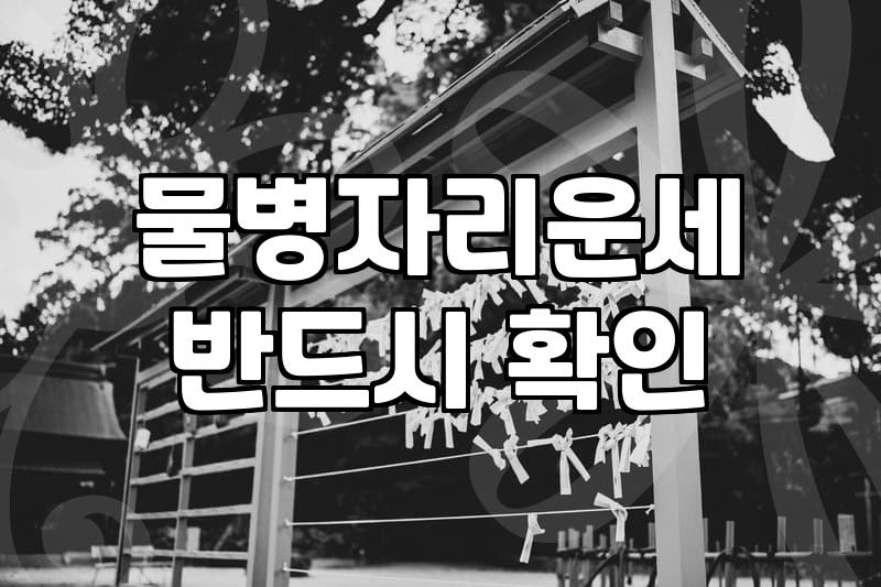 전갈자리운세 정확히 확인하는 방법과 실전 해석 기준