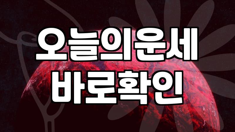 무료띠별운세 보는 법과 전문가가 말하는 해석의 한계