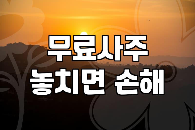 무료인터넷사주 결과를 현실적으로 해석하고 활용하는 방법
