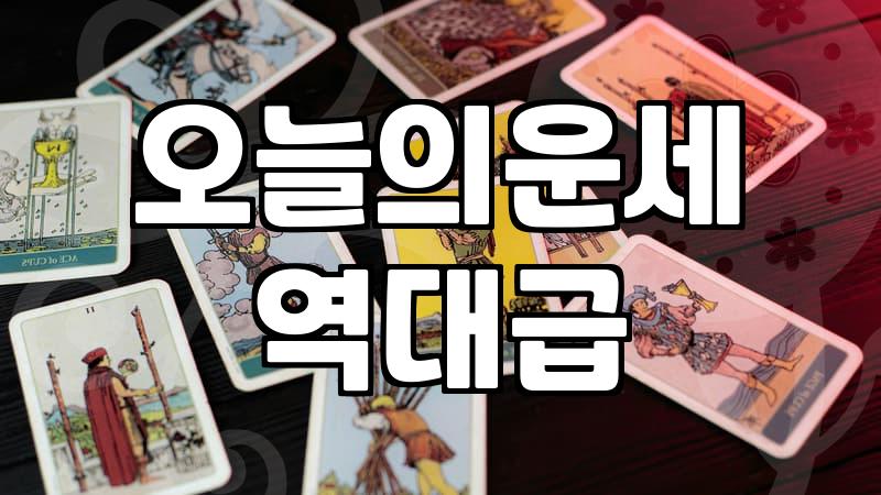 오늘의운세를 맹신하다가 깨달은, 현실적인 운과 선택의 상관관계