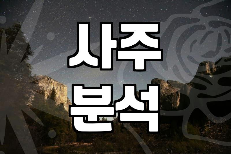 바쁜 직장인이 라이프공육사오 플랫폼을 직접 써보고 느낀 솔직한 장단점