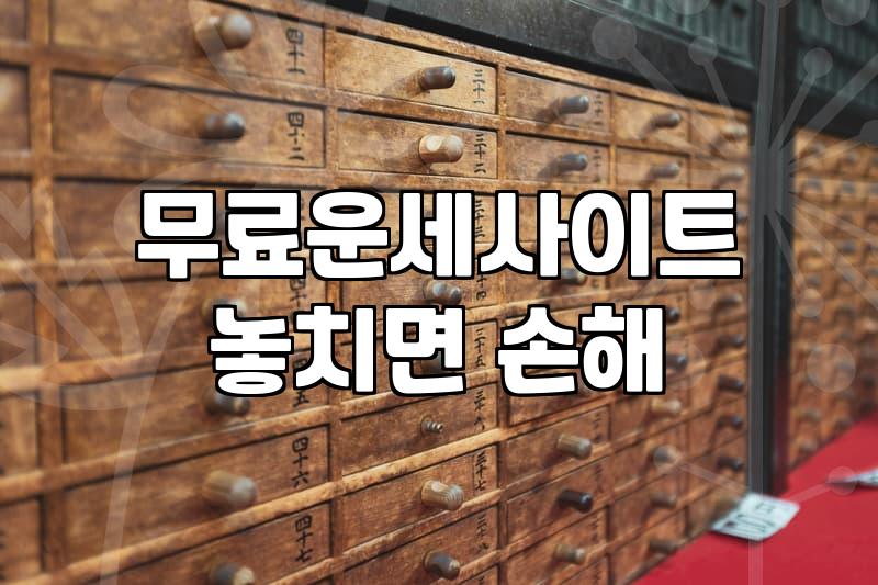공짜사주팔자 정확도와 운세 해석의 한계