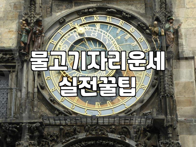요즘따라 운세 앱을 너무 자주 들여다보는 것 같아
