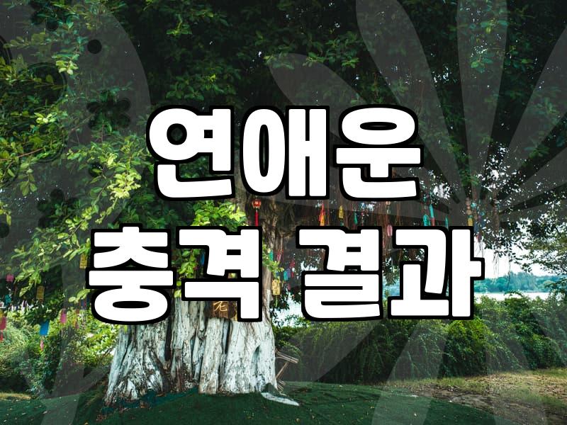 결혼운사주를 확인하고 배우자를 만나는 가장 현실적인 방법