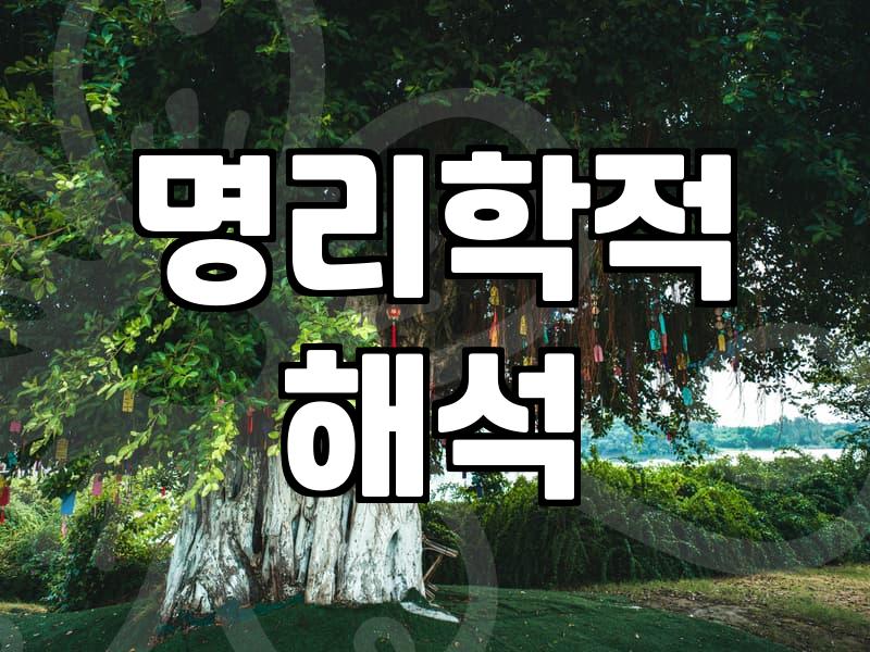 인터넷사주 풀이의 정확도와 실질적인 활용법 알아보기