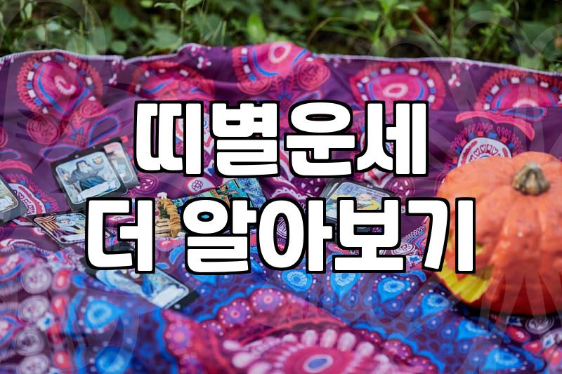 다음주운세 확인이 일상적인 흐름에 미치는 실질적인 영향력