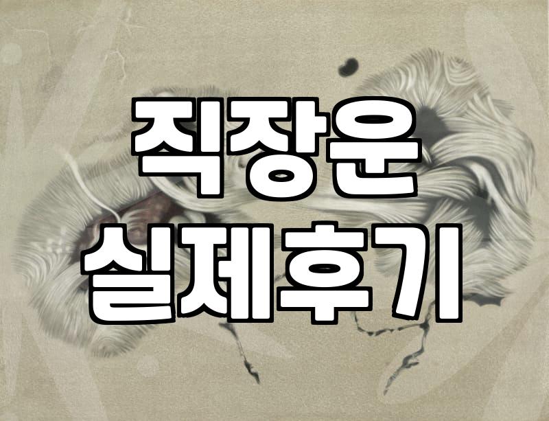직장 옮기기 전, ‘이직운’ 제대로 파보기: 경험자의 솔직한 이야기