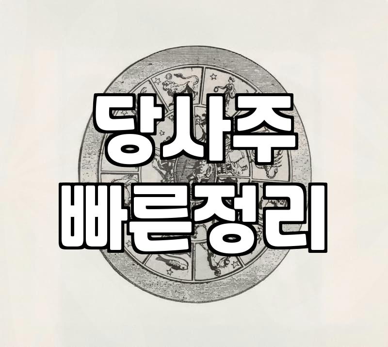 당사주로 보는 내 운세, 과연 얼마나 맞을까