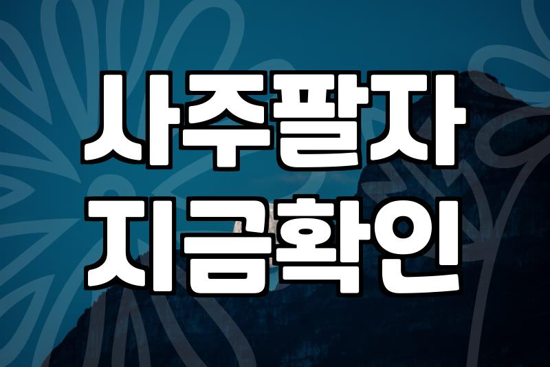 채팅사주 이용료와 실질적인 상담 과정의 핵심 조건