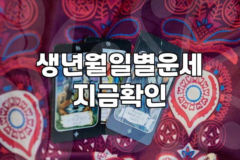 내 띠, 쥐띠운세, 올 해는 어떤 흐름일까