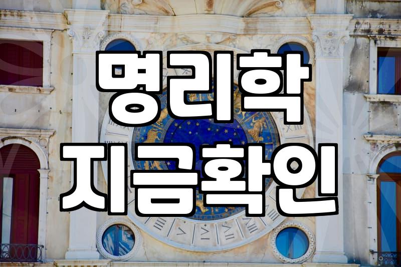 이달의운세 결과가 현실의 성과로 이어지지 않는 이유