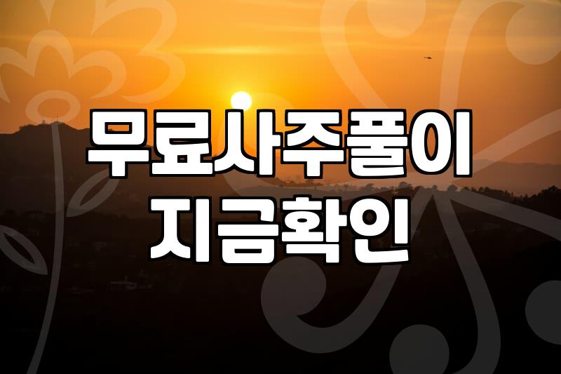 새해운세 확인 방법과 플랫폼별 비용 비교