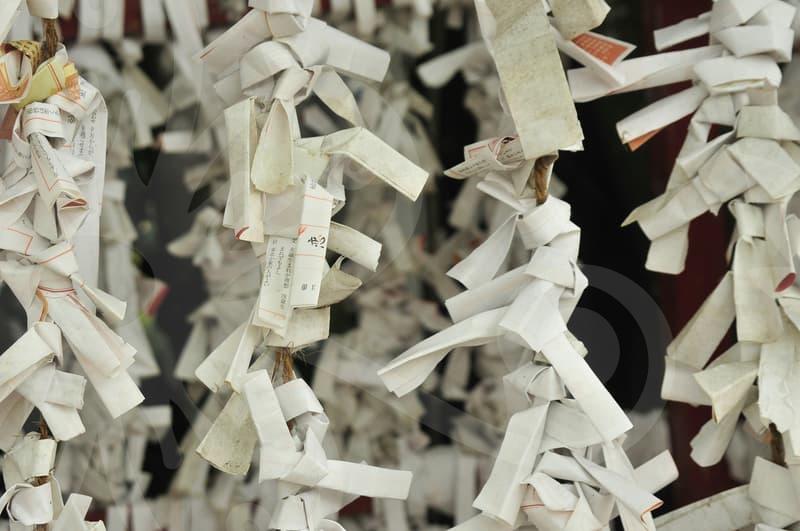 20대 자동차보험료, 왜 비쌀까? 현명하게 낮추는 법