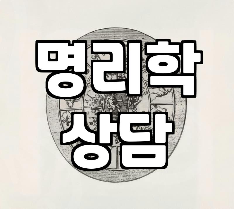 요즘 사주앱으로 연애운과 사주팔자 확인해보니