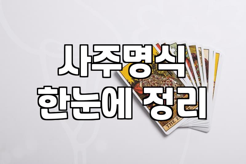 사주를 보는 것이 정말 인생의 정답이 될 수 있을까