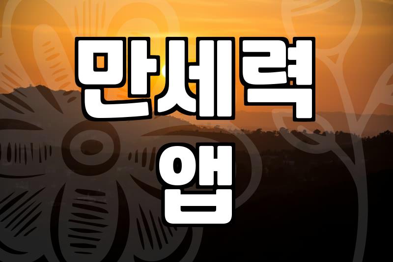 사주보는법 기본 원리와 만세력 앱 활용 기준
