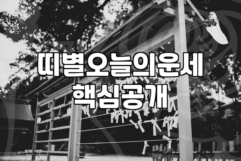 뱀띠운세 흐름을 파악하고 일상에서 실질적인 조언을 얻는 법