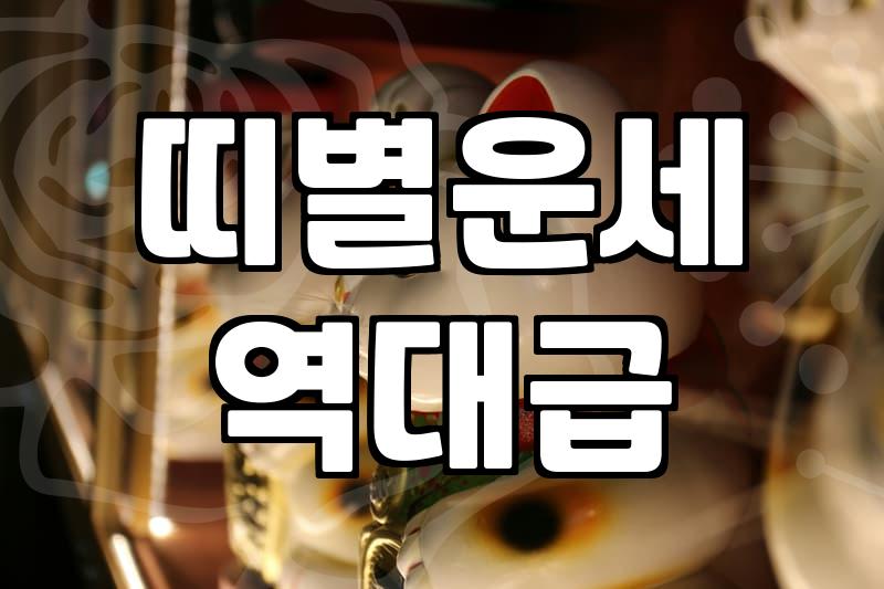 양띠운세 확인하는 방법과 연령대별 해석 차이
