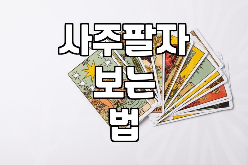 사주팔자 오행 분석과 정통 명리의 기초 이해하기