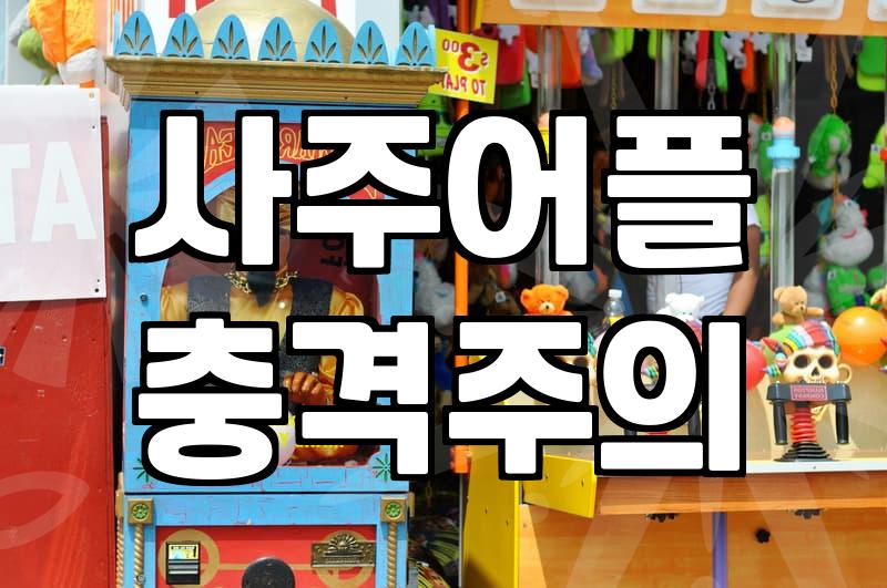 사주보는곳 선택 기준과 비용 비교 분석