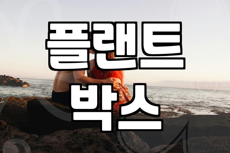 사무실대형화분 선택할 때 반드시 고려해야 할 현실적인 기준