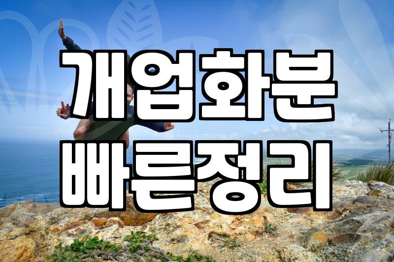 아파트 베란다에서 화분 고를 때 고려할 실질적인 고민들