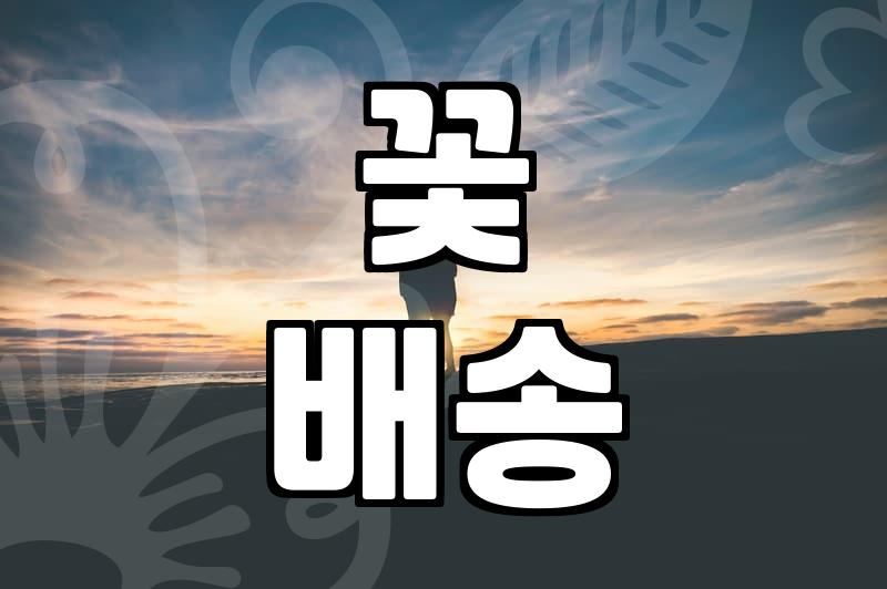 생일선물배달, 센스 있게 꽃 선물하는 법