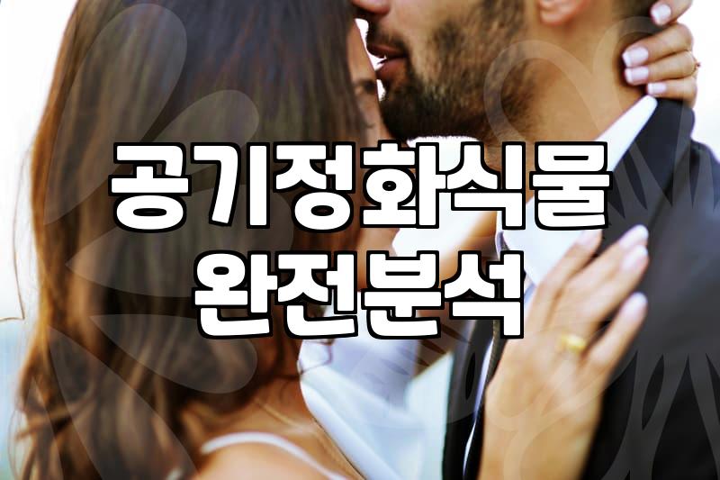 개업화분, 센스있게 고르는 실속 팁