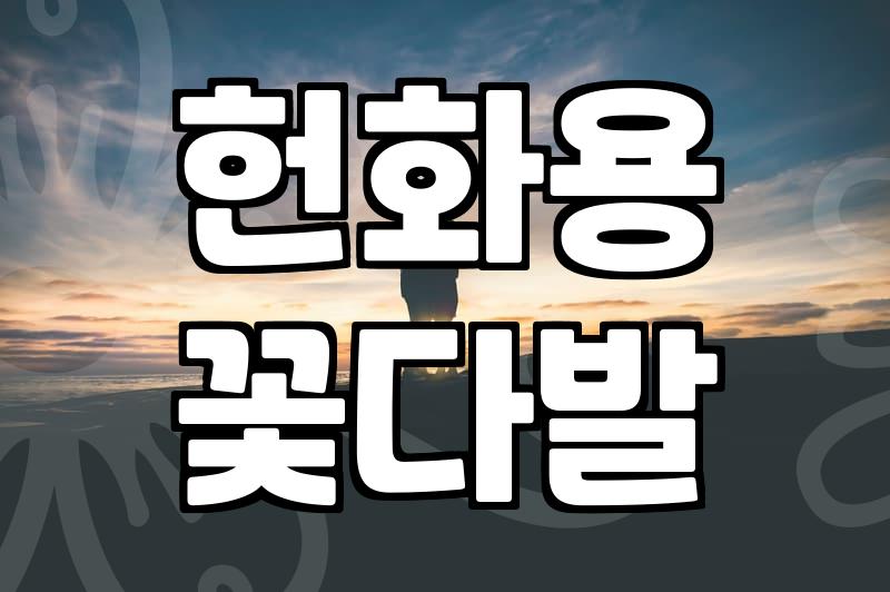 성묘꽃다발 선택 기준과 묘소 환경에 따른 관리 방법