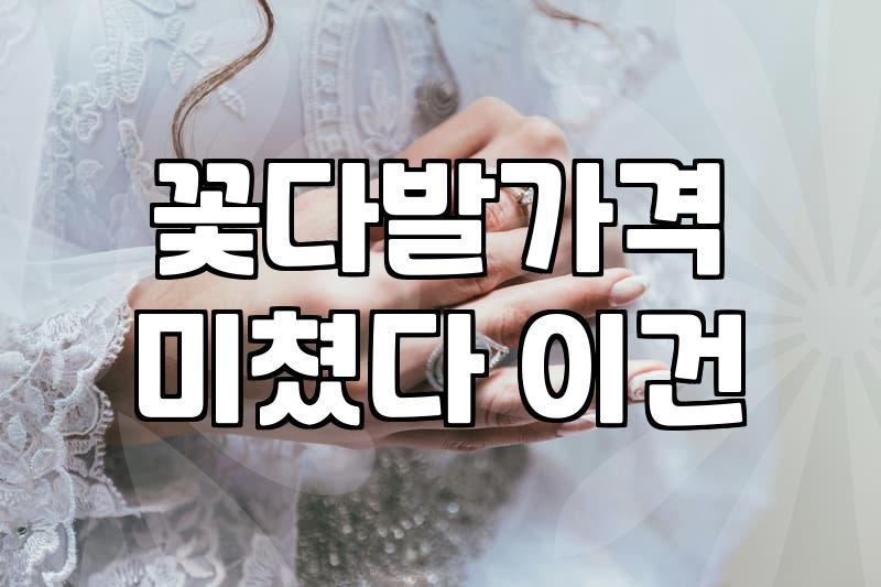 장미 20송이부터 100송이까지 상황별 꽃다발 선택 가이드