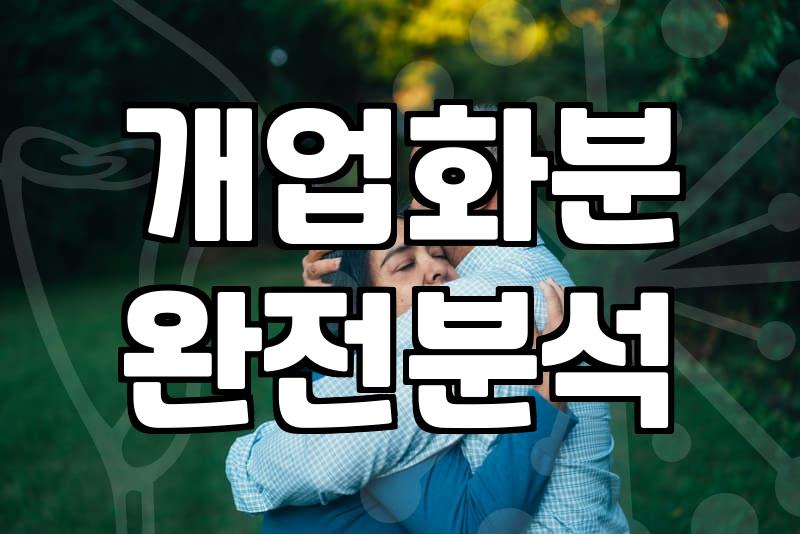 사무실이나 카페에 어울리는 실내 나무 고를 때 생각할 점