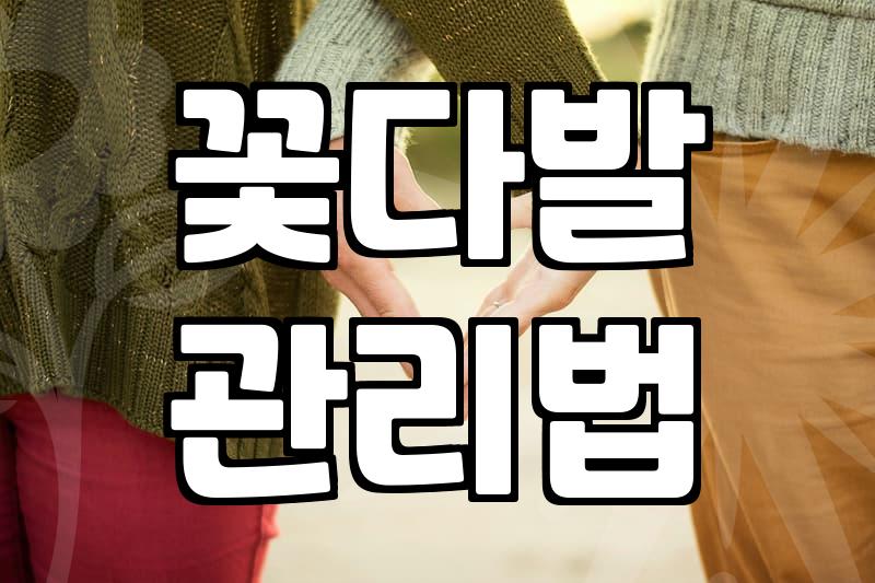 특별한 날 생화 꽃다발 준비할 때 알아두면 좋은 점들