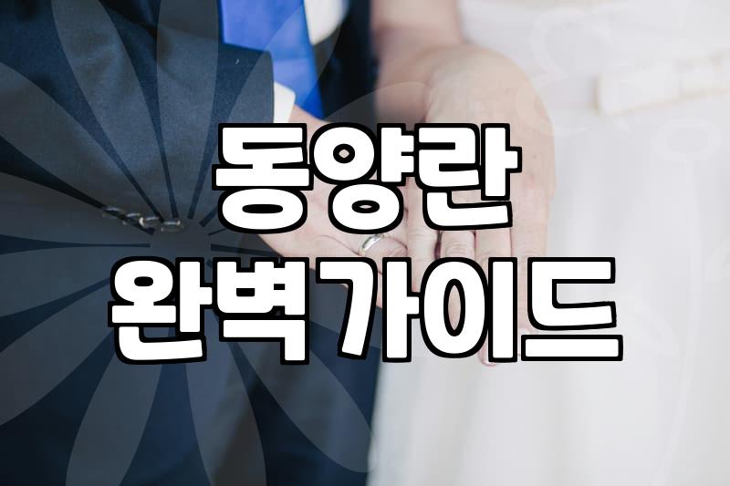 한난 명칭 혼란을 피하고 동양란의 가치를 제대로 이해하는 법