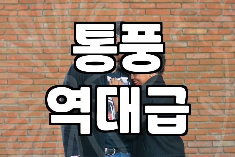 유칼립투스, 제대로 알고 키우기