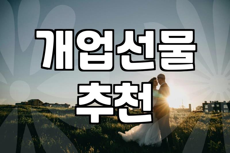 병원개업화분 선택 기준과 적절한 배치 관리법