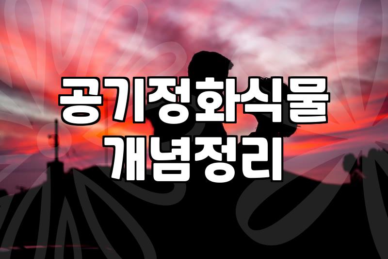 승진 선물이나 생일 화환, 정말 실용적일까? 식물과 함께하는 현실적인 고민들