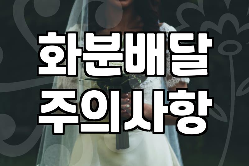 승진이나 개업 선물로 화분 보낼 때 알아두면 좋은 점들