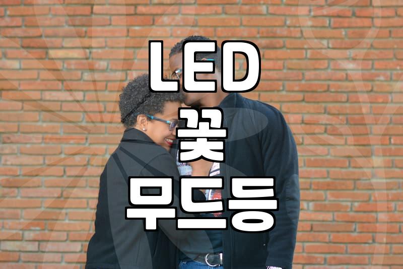 시들지 않는 꽃을 찾는다면 LED 조화는 어떨까