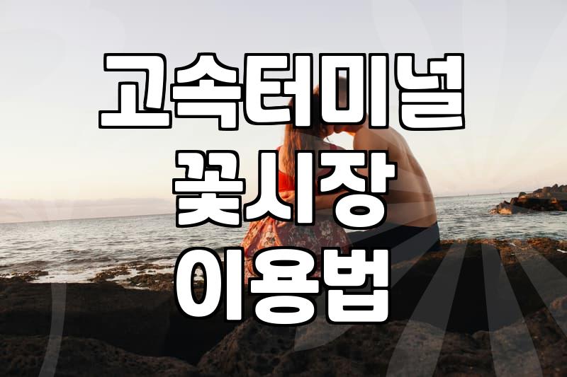 고속터미널 꽃시장에서 꽃자재와 식물 쇼핑하기