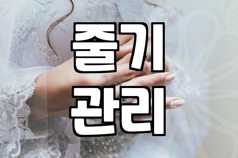 공간 분위기를 바꾸는 최적의 꽃화병 선택 기준과 관리 노하우