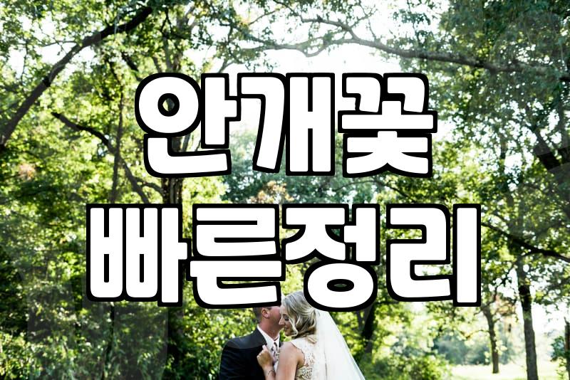 안개꽃 한 단을 다 다듬다가 손가락이 좀 얼얼해졌다