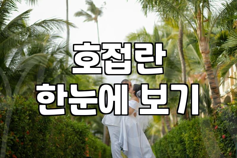 개업축하난, 실패 없는 선택 가이드