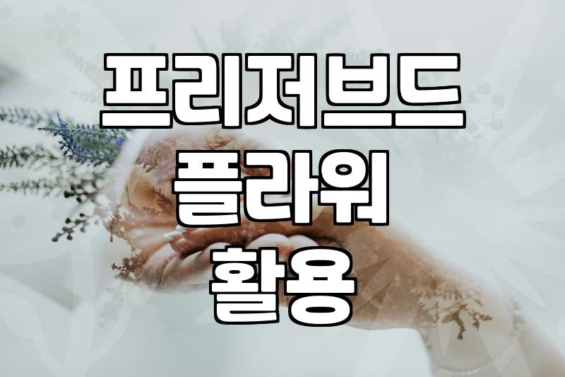 안개꽃을 오래 간직하는 방법과 활용 팁
