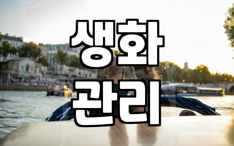 안개꽃 관리 방법과 오랫동안 싱싱하게 유지하는 팁