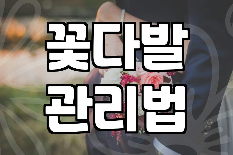 장미꽃다발 가격 결정 요인과 신선도 유지하는 관리법