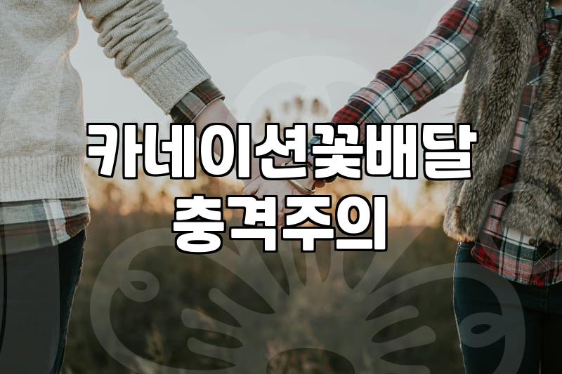 매년 반복되는 카네이션 바구니 고르기가 왜 이렇게 힘든지
