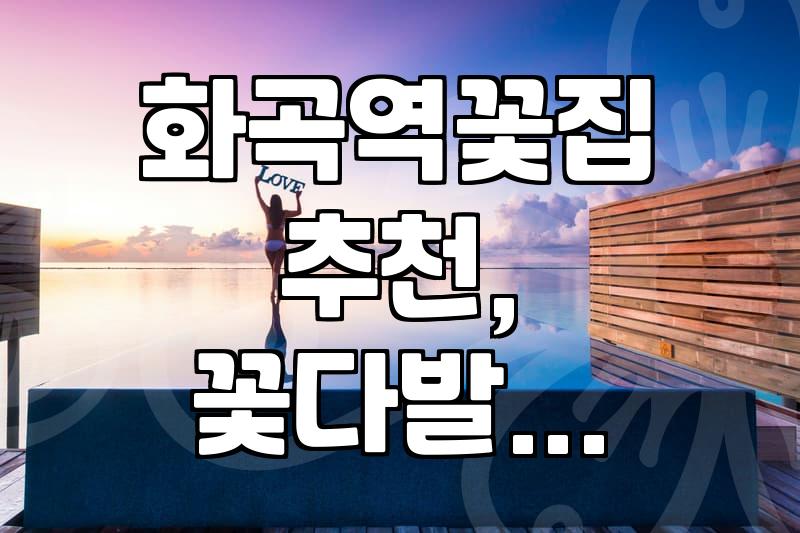 화곡역 근처에서 꽃집 고르기, 솔직히 뭐가 중요할까?