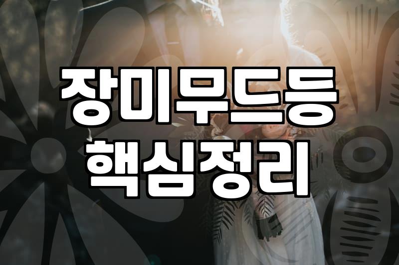 6주년 선물, 꽃과 무드등 사이에서 고민하는 당신에게