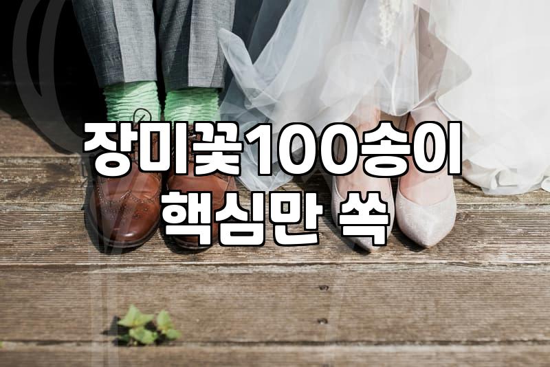 빨간장미꽃다발 가격 산정과 신선하게 유지하는 관리법